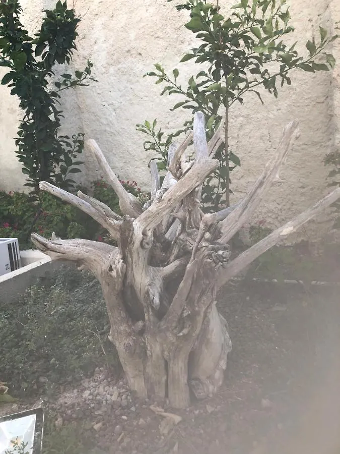 B&B Villa S.Anna Bari